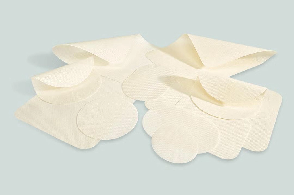 Gore Hernia Mesh - Stinnow